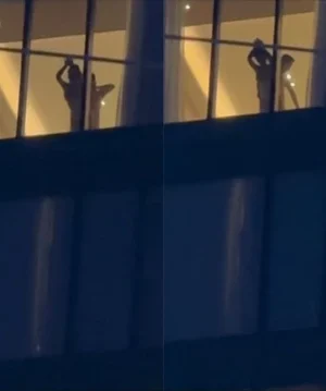 Thằn lằn bám kính ngay tại đô thị Vinpearl